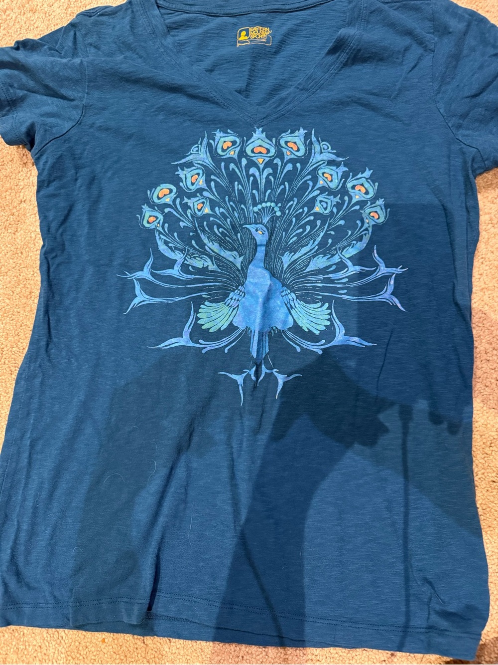 Eastern Mountain Sports Blue V-Neck Peacock Graphic Long Sleeve Tee
